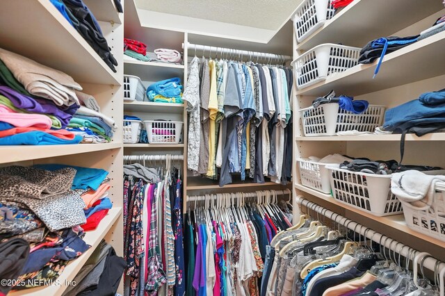 11019 Crumpet Ct, Jacksonville, FL 32257 - view of spacious closet