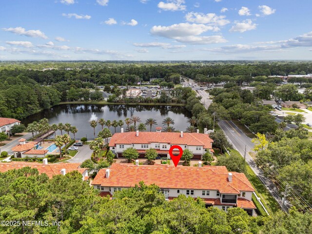 13311 Santorini Dr, Jacksonville, FL 32225 - photo 52