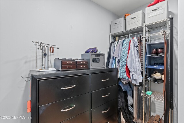 536 14th Ave N, Jacksonville Beach, FL 32250 - view of walk in closet