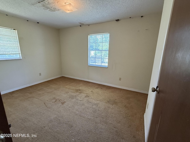 1107 Blair Rd, Jacksonville, FL 32221 - photo 19