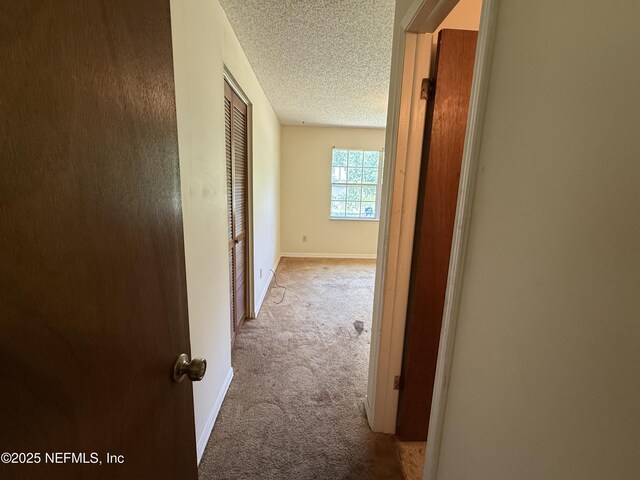 1107 Blair Rd, Jacksonville, FL 32221 - photo 12