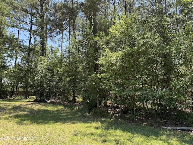 1107 Blair Rd, Jacksonville, FL 32221 - photo 27