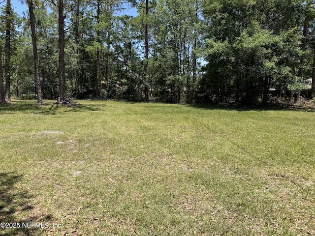 1107 Blair Rd, Jacksonville, FL 32221 - photo 29