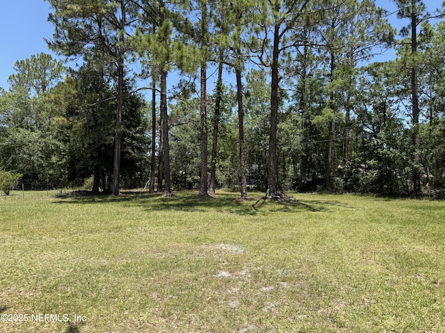 1107 Blair Rd, Jacksonville, FL 32221 - photo 30