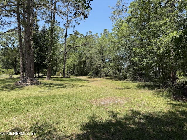 1107 Blair Rd, Jacksonville, FL 32221 - photo 31