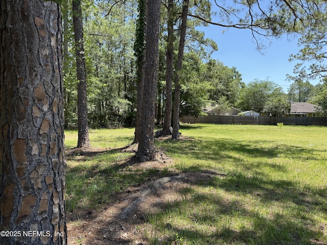 1107 Blair Rd, Jacksonville, FL 32221 - photo 38