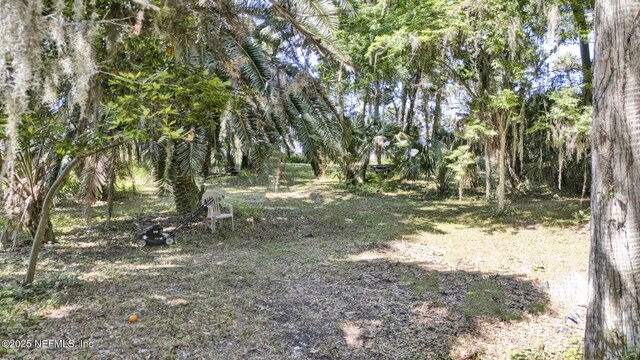 16387 Waterville Rd, Jacksonville, FL 32226 - photo 27