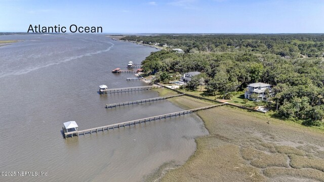 16387 Waterville Rd, Jacksonville, FL 32226 - photo 4
