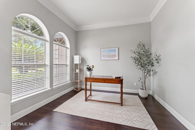 1612 Inkberry Ln, Saint Johns, FL 32259 - office area featuring ornamental molding and wood finished floors