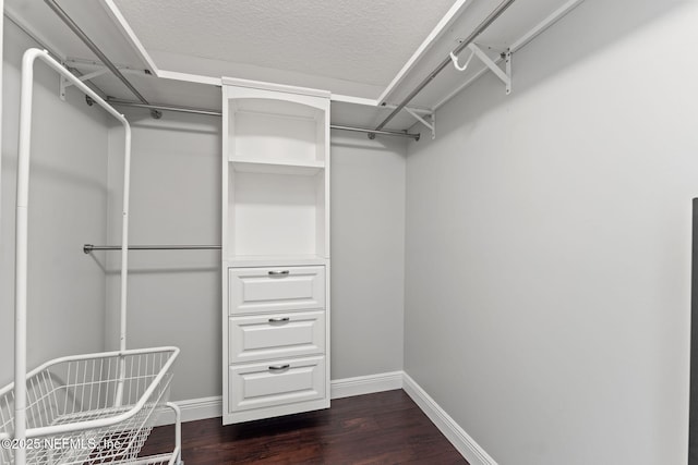 1612 Inkberry Ln, Saint Johns, FL 32259 - walk in closet featuring dark wood-type flooring