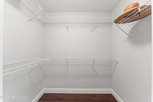 1612 Inkberry Ln, Saint Johns, FL 32259 - spacious closet featuring wood finished floors