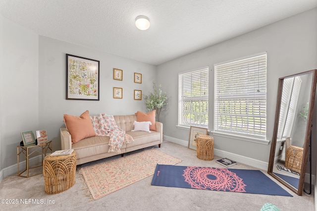 1612 Inkberry Ln, Saint Johns, FL 32259 - carpeted living room featuring baseboards and a textured ceiling