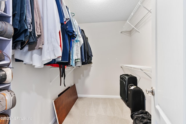 11521 Dunforth Cove Dr, Jacksonville, FL 32218 - spacious closet featuring light colored carpet