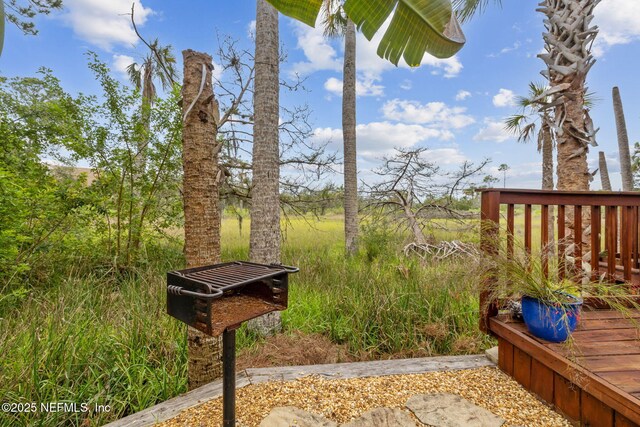1964 Green Heron Pt, Jacksonville Beach, FL 32250 - photo 35