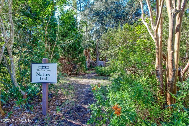 1964 Green Heron Pt, Jacksonville Beach, FL 32250 - photo 45