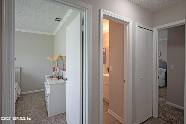 1798 Shannon Lake Dr, Middleburg, FL 32068 - corridor with a textured ceiling, ornamental molding, light colored carpet, and baseboards