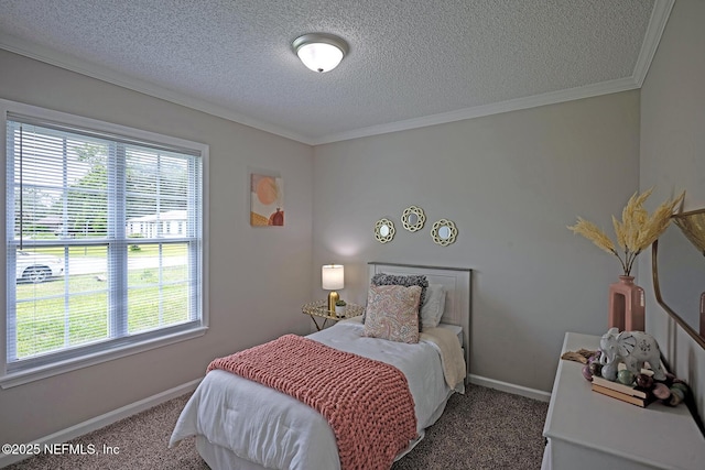 1798 Shannon Lake Dr, Middleburg, FL 32068 - carpeted bedroom featuring multiple windows, baseboards, a textured ceiling, and ornamental molding