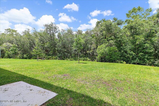 187 Logrono Ct, Saint Augustine, FL 32084 - view of grassy yard