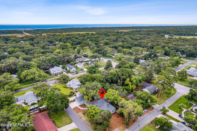 22 N 17th St, Amelia Island, FL 32034 - aerial view of residential area featuring a heavily wooded area