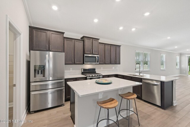 285 Greenway Ln, Saint Augustine, FL 32092 - kitchen featuring stainless steel appliances, a sink, a peninsula, ornamental molding, and dark brown cabinetry