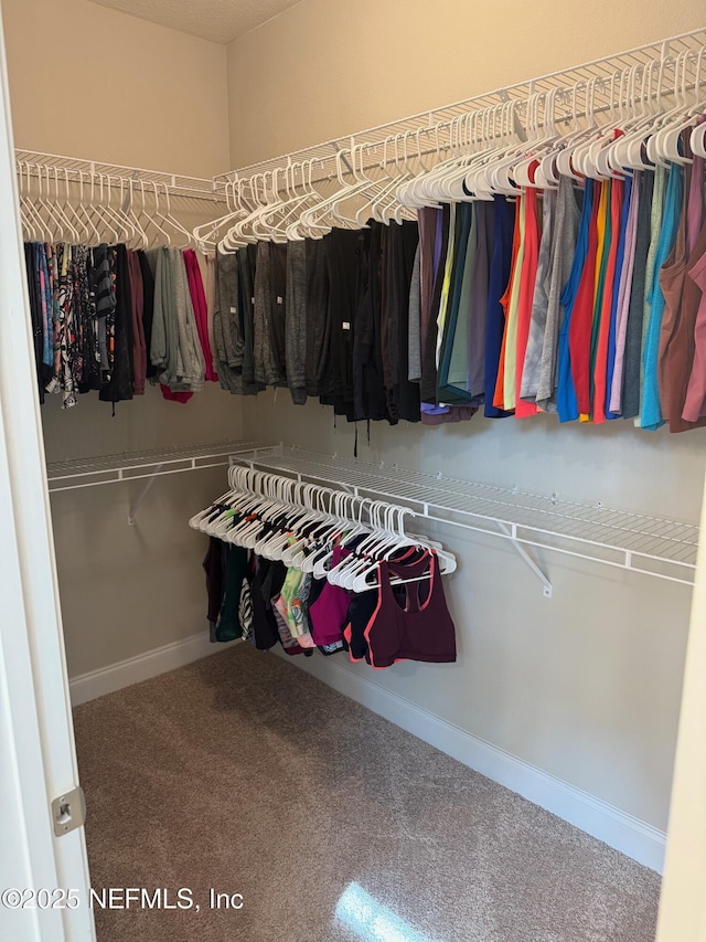285 Greenway Ln, Saint Augustine, FL 32092 - spacious closet with carpet