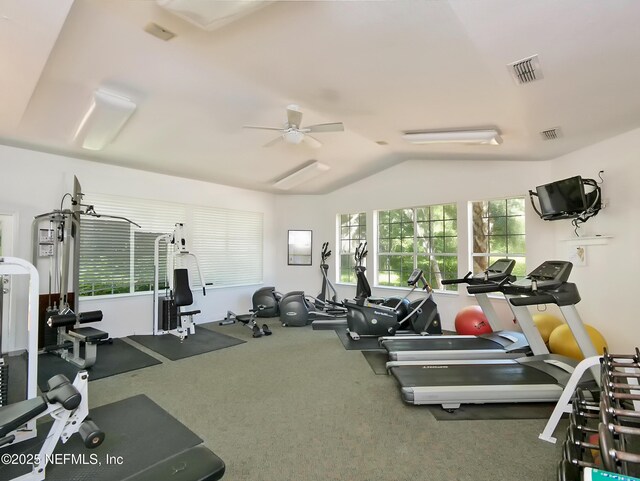 140 Veracruz Dr Unit 635, Ponte Vedra Beach, FL 32082 - gym featuring ceiling fan, carpet flooring, and vaulted ceiling