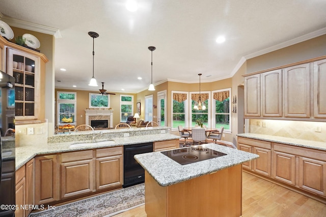 501 Greenbriar Rd, Saint Johns, FL 32259 - kitchen featuring black appliances, light wood-style flooring, recessed lighting, a fireplace, and a sink