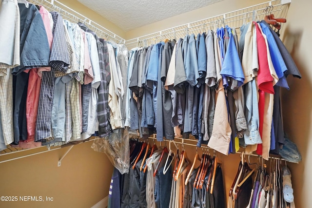 501 Greenbriar Rd, Saint Johns, FL 32259 - view of spacious closet