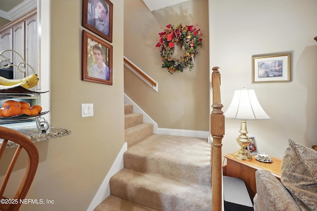 501 Greenbriar Rd, Saint Johns, FL 32259 - stairs with carpet and baseboards