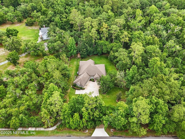 501 Greenbriar Rd, Saint Johns, FL 32259 - drone / aerial view of a heavily wooded area