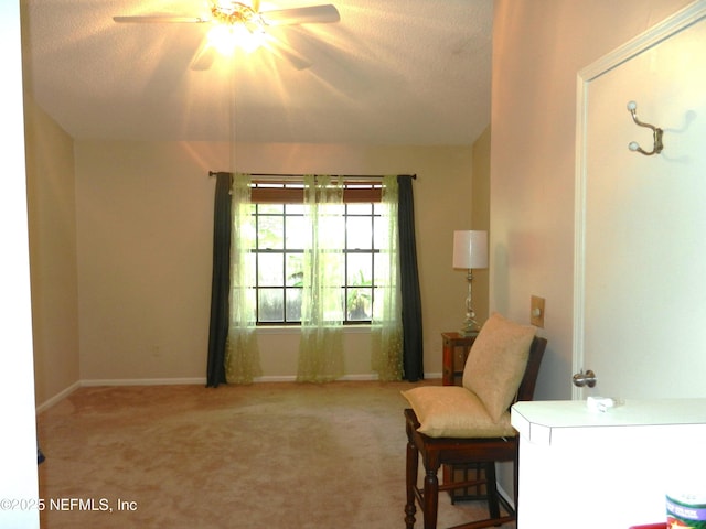 11430 Squire Way Ln, Jacksonville, FL 32223 - photo 16