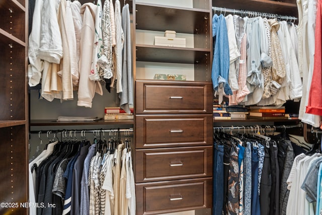 295 Sophia Ter, Saint Augustine, FL 32095 - view of walk in closet