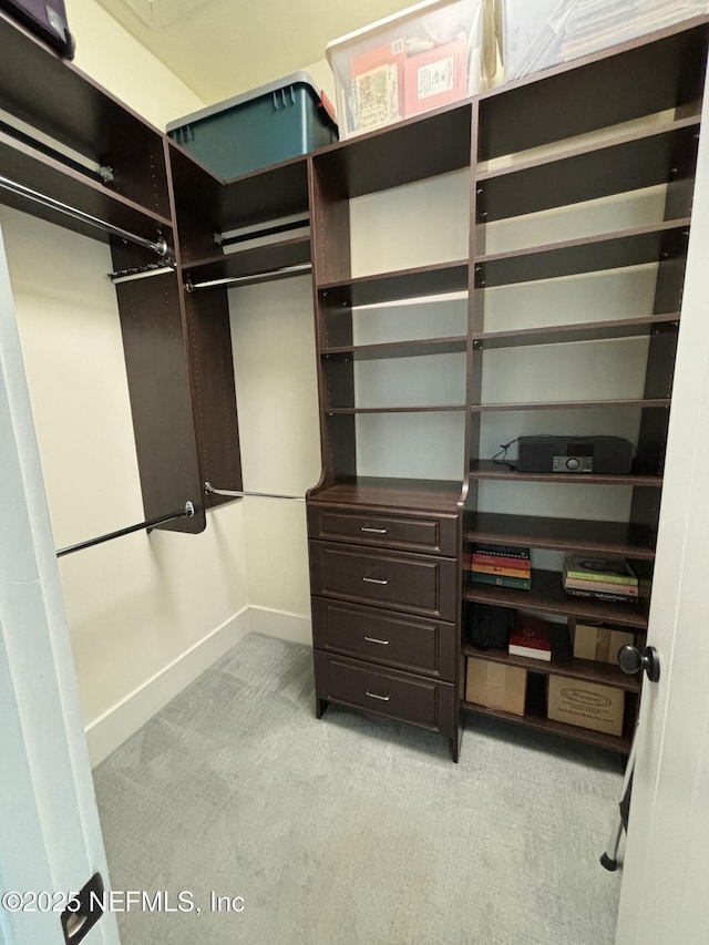295 Sophia Ter, Saint Augustine, FL 32095 - spacious closet with light carpet