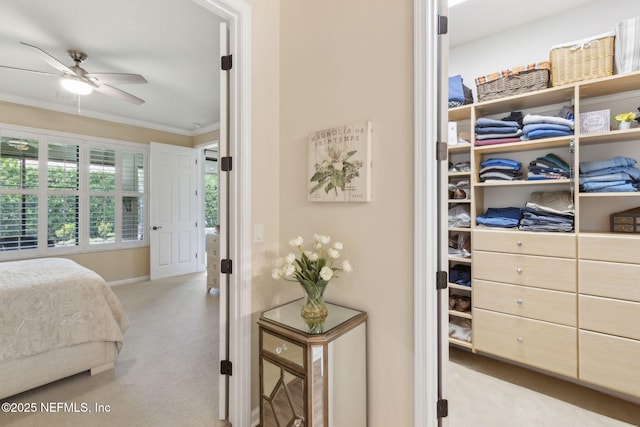 14 Marsh Hollow Rd, Ponte Vedra, FL 32081 - carpeted bedroom featuring ornamental molding and baseboards