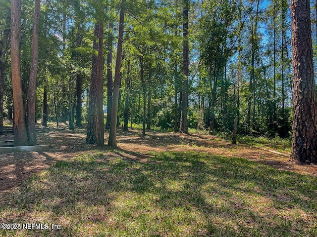 225 Presidents Cup Way Unit 105, Saint Augustine, FL 32092 - view of wooded area
