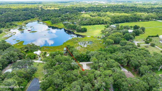 2270 Wilmhurst Rd, Deland, FL 32720 - aerial overview of property's location with a large body of water and a heavily wooded area