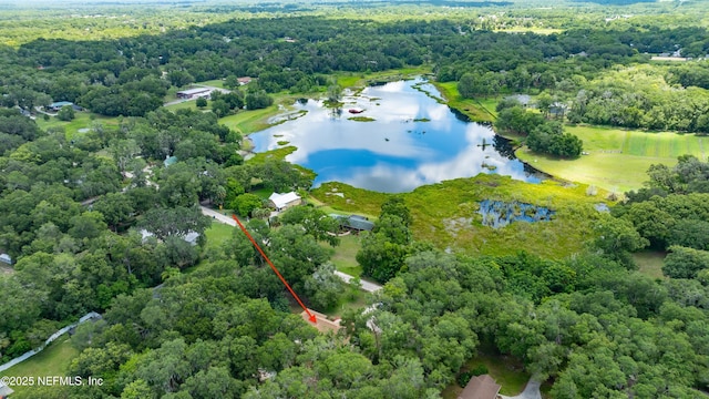 2270 Wilmhurst Rd, Deland, FL 32720 - bird's eye view of a nearby body of water and a forest
