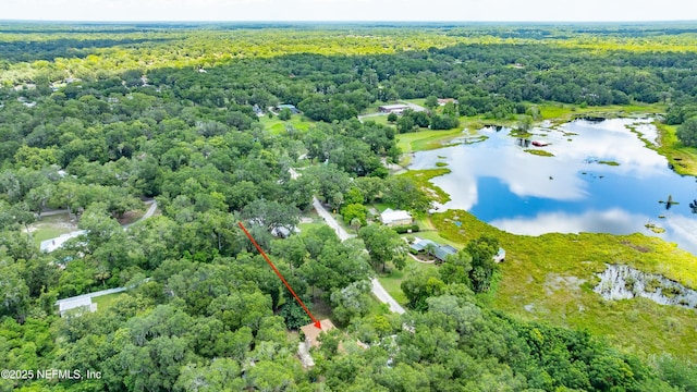 2270 Wilmhurst Rd, Deland, FL 32720 - aerial view of a heavily wooded area and a large body of water