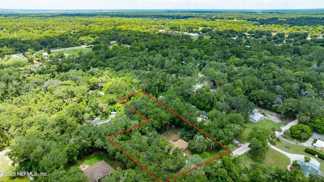 2270 Wilmhurst Rd, Deland, FL 32720 - aerial overview of property's location with a forest and property boundaries highlighted