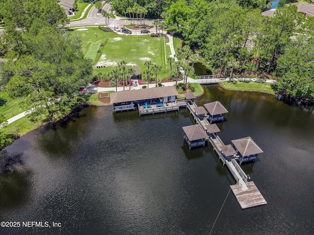 13674 Wm Davis Pkwy, Jacksonville, FL 32224 - aerial view of a large body of water and a tree filled landscape