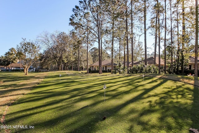 13674 Wm Davis Pkwy, Jacksonville, FL 32224 - view of yard with a putting area