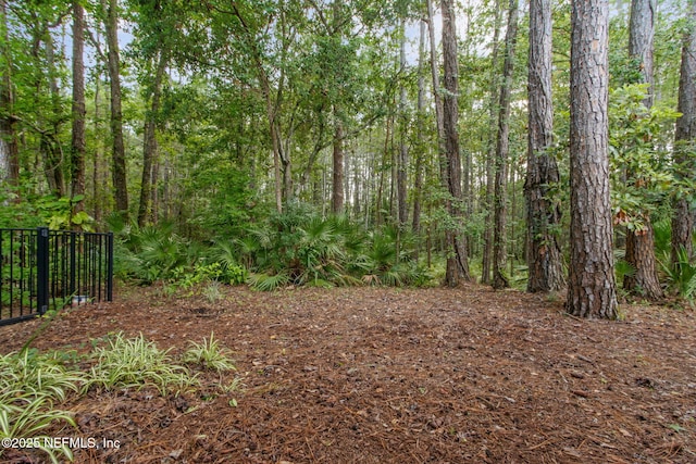 13674 Wm Davis Pkwy, Jacksonville, FL 32224 - view of local wilderness