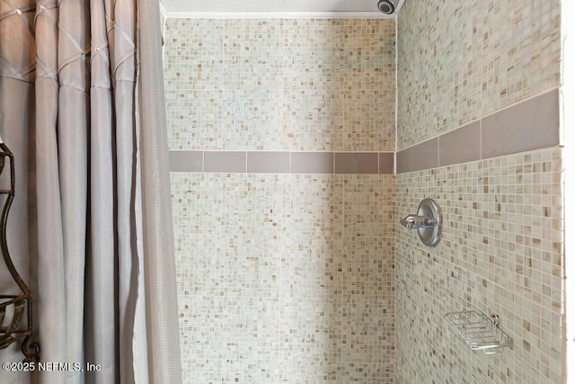 1810 Griflet Rd, Jacksonville, FL 32211 - detailed view of tiled shower