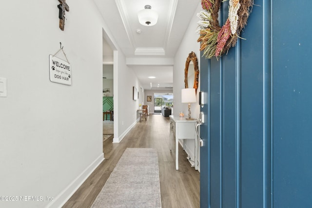 94001 Goodwood Dr, Fernandina Beach, FL 32034 - foyer entrance with wood finished floors, baseboards, and a tray ceiling