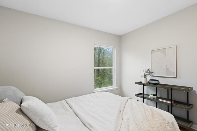 889 Aiken St, Saint Augustine, FL 32084 - view of bedroom