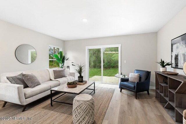 889 Aiken St, Saint Augustine, FL 32084 - living room featuring light wood finished floors and healthy amount of natural light