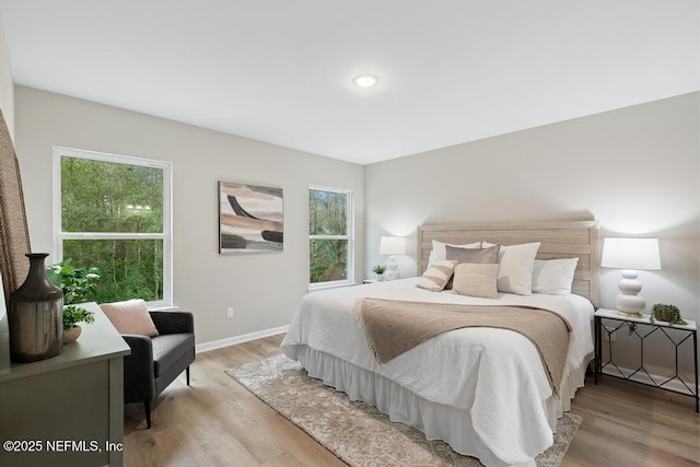 889 Aiken St, Saint Augustine, FL 32084 - bedroom featuring light wood-style flooring, multiple windows, and baseboards