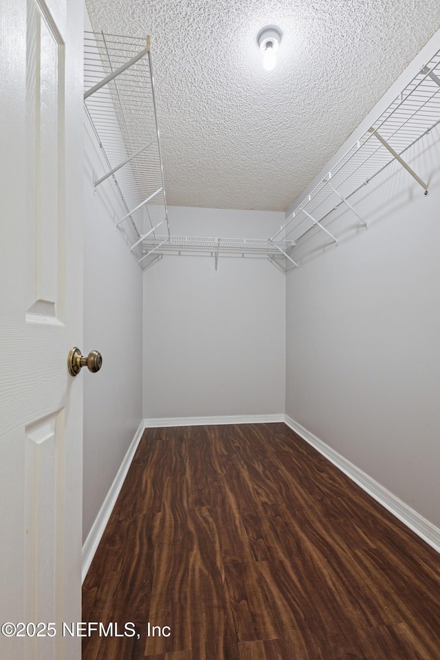 8989 Bridgecreek Dr W, Jacksonville, FL 32244 - photo 24