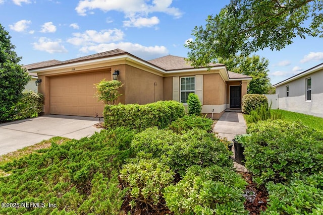 724 Sunny Stroll Dr, Middleburg, FL 32068 - photo 1