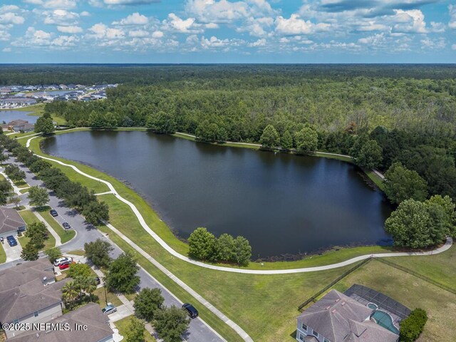 724 Sunny Stroll Dr, Middleburg, FL 32068 - photo 43